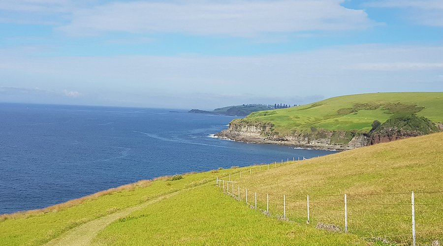 Rolling Hills of the South Coast