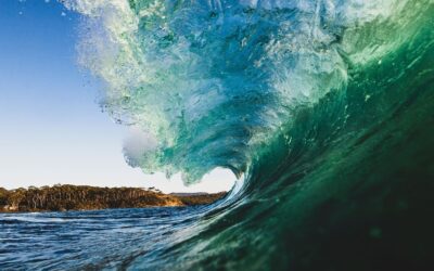 The Best Beaches on the South Coast