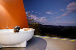 Bath with a View