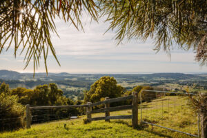 Mt Hay Views